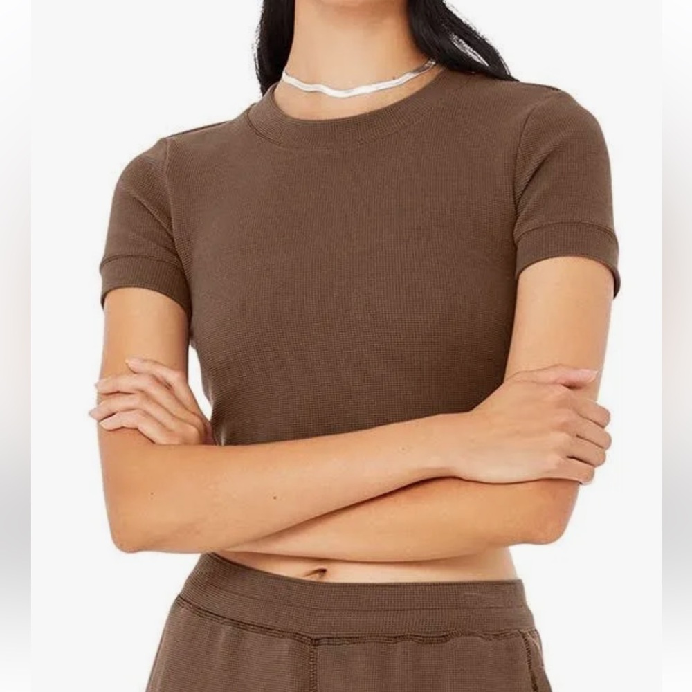 ALO Yoga Brown Crop Top